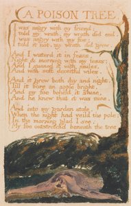 Lieder der Unschuld und der Erfahrung, Platte 41, Ein Giftbaum (Bentley 49) von William Blake